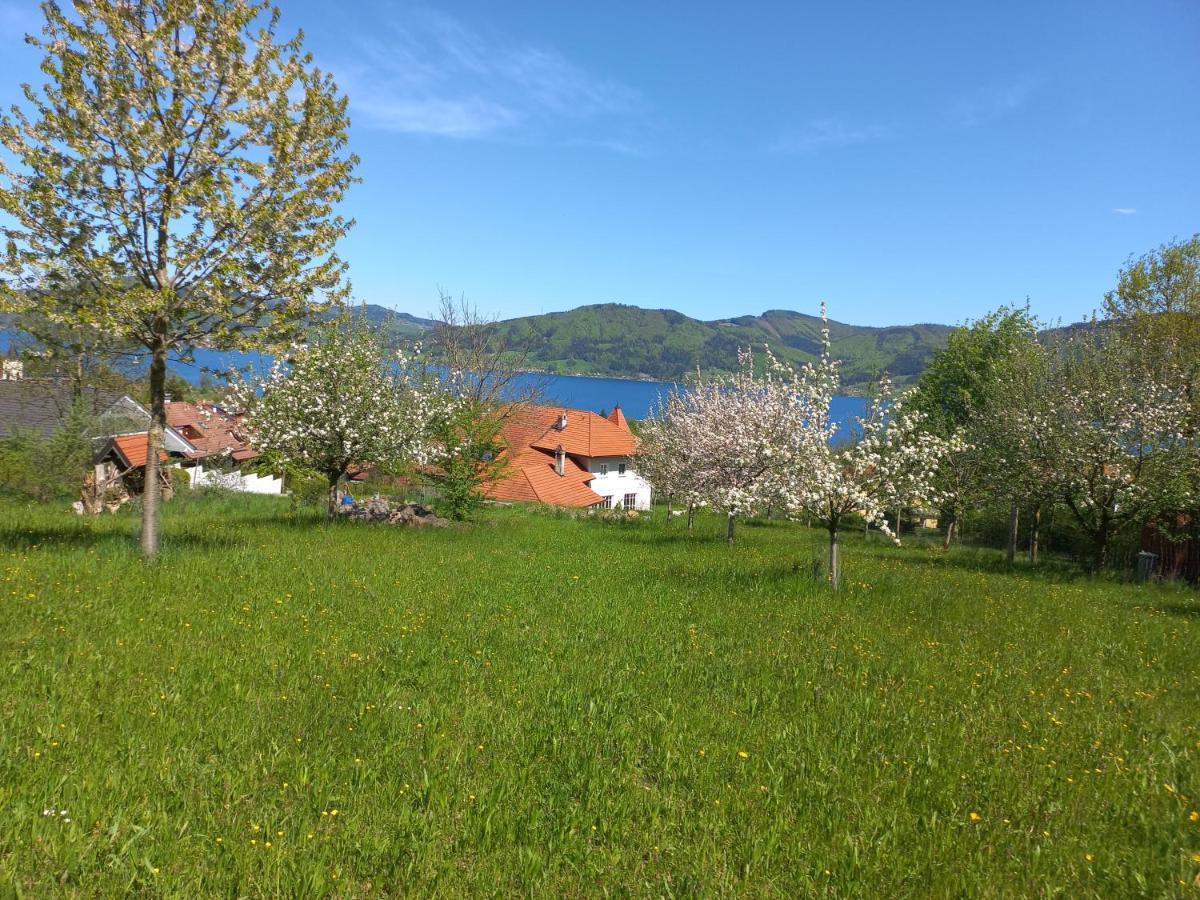 Attersee Gartenvilla Нусдорф-ам-Аттерзее Экстерьер фото